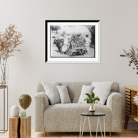 Historic Framed Print, Chetah i.e. cheetah used for hunting, India,  17-7/8" x 21-7/8"