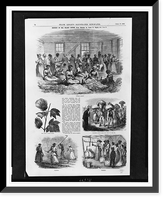 History of Sea Island cotton.from sketches by James E. Taylor. Classic, Antique Print