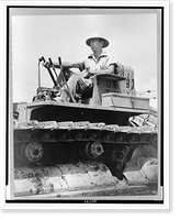 Cherokee Dam, Tenn., 1935-40(?). A worker operating a bulldozer during the construction of the dam, Historic Print