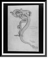 Wall bracket for gas-lighting in the form of a rattlesnake, with lighting element in its mouth - 2, Vintage Print