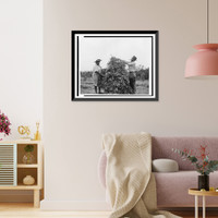 Townspeople volunteer to save wartime oil crop, Historic Print