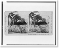 Historic Framed Print, Spanish gun brought to San Juan, Porto Rico, by Ponce de Leon,  17-7/8" x 21-7/8"