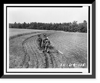 James Archie plowing field, with pair of mules(?), Historic Reproduction