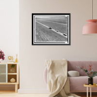 Aerial view of 8,000 acre tomato farm in Homestead, Fla. showing harvesting machine, Vintage Poster