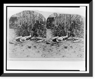 Historic Framed Print, Terrors of the Aligater (sic) Swamp, Fla.,  17-7/8" x 21-7/8"