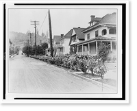 Roses in street parking, Historic Print