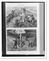 Historic Framed Print, Newfoundland cod-fishery,  17-7/8" x 21-7/8"