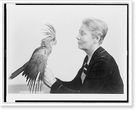 Winsome Washington woman has rare parrot for pet.Underwood & Underwood, Washington, Historic Print