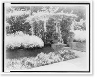 Small arbor covered with roses, with daisies and pansies on banks, on estate of Mrs. Walter C. McKeon, Pasadena, California, Vintage Poster
