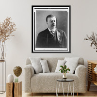 Historic Framed Print, [Theodore Roosevelt, head-and-shoulders portrait, facing right],  17-7/8" x 21-7/8"