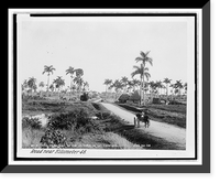 La carretera de Vi&ntilde;ales cerca de San Cayetano. Road near kilometer 48, Antique Print