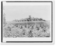 Illinois, Cahokia Mound, October 16, 1907, Historic Reproduction