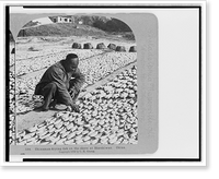 Historic Framed Print, Chinaman drying fish on the shore at Shaukiwan, China,  17-7/8" x 21-7/8"