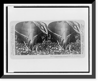 Miss Helen Deshler getting ready to christen the Battleship Ohio, San Francisco, Cal, Vintage Poster