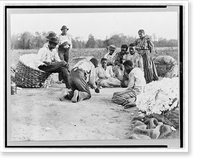 African Americans resting and shooting dice at edge of cotton field Classic, Antique Print