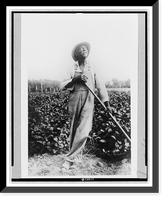 Full-length portrait of man, standing in field, with hoe(?), looking upward, in Washington, D.C. or New York area, Historic Print