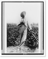 Full-length portrait of man, standing in field, with hoe(?), looking upward, in Washington, D.C. or New York area, Historic Print
