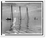 The three-masted ship Edward J. Baird resting on the bottom of Tangier Sound in the Chesapeake Bay, after sinking, Vintage Print