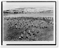End of Oregon Trail, beginning of float trip, mouth of Chenowith Creek, The Dalles, Oregon, Historic Print