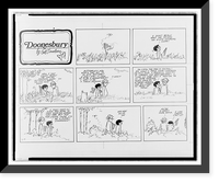 Doonesbury. Whoosh! I didn't really want you anyway, you stupid mourning cloak, Antique Wall Art