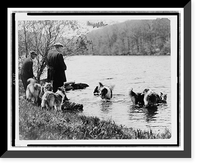 Two men with eight collies, five of them in water, Antique Print