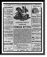 Advertisement for Hostetter's celebrated stomach bitters, showing man on horse using spear to kill serpent, Antique Wall Art