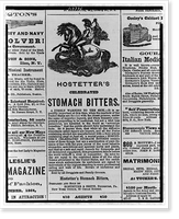 Advertisement for Hostetter's celebrated stomach bitters, showing man on horse using spear to kill serpent, Antique Wall Art