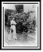 Historic Framed Print, [Frances Benjamin Johnston, full-length portrait, standing in her garden, by rose bushes, with some flowers in her hand, facing slightly right],  17-7/8" x 21-7/8"