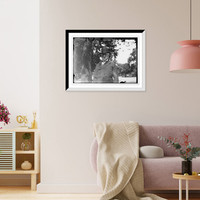 Seth Low Classic, Vintage Print