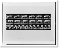 Historic Framed Print, Animal locomotion - 56,  17-7/8" x 21-7/8"