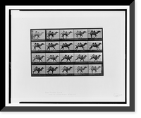 Historic Framed Print, Animal locomotion - 57,  17-7/8" x 21-7/8"
