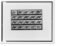 Historic Framed Print, Animal locomotion - 57,  17-7/8" x 21-7/8"