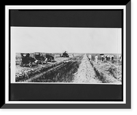 Gasoline plow & gasoline road machine working on reclaimed prairie Classic, Historic Print