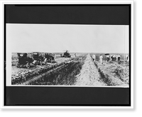 Gasoline plow & gasoline road machine working on reclaimed prairie Classic, Historic Print