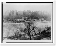 Vintage Landscape - New York City - View from apartment 9D