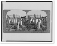 Historic Framed Print, Monuments to Gen. Custer and his brave men who fell about him, Custer Battlefield, Wyo.,  17-7/8" x 21-7/8"