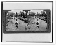The Venice of Mexico, the floating gardens and canal at Xochimilco, Vintage Poster