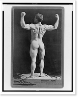 Sandow.Sarony. - 3 Classic, Vintage Wall Art