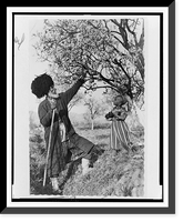 Turkmen SSR, tree in bloom. Old man, Shiri Shageldy with his grandson, Urazdury, in the garden, Kara-kalinskii district, Lenin Collective Farm.Georgii Zel'ma, Vintage Poster