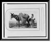 Neopolitan peasant with donkey transporting flowers, Vintage Print
