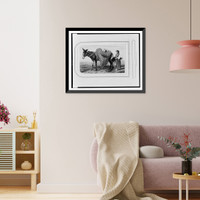 Neopolitan peasant with donkey transporting flowers, Vintage Print