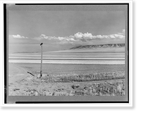 Contour ploughing and strip cropping of wheat fields just north of Great Falls, Montana, Antique Print