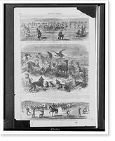Sioux Indians attacking a company of the Seventh Cavalry, June 24, 1867 Camp pets of the Seventh United States Cavalry ; Sioux and Cheyennes attacking a wagon train.sketched by T.R. Davis. - 2 Time