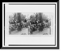 President McKinley in the land of flowers - Soldiers' Home, Los Angeles, California, Antique Print