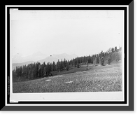 Kartoumski Alps from Rockmanafski Mts. Classic, Antique Poster
