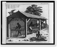 Four people working with harvested tobacco in shed, Antique Print