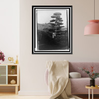 Unidentified garden - 2, Vintage Print