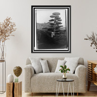 Unidentified garden - 2, Vintage Print