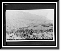 Wible property, Canyon Creek - 2, Antique Wall Art