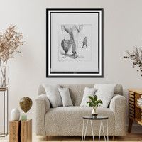 Historic Framed Print, Why is it such Republicans as Reed & Harrison won't speak?,  17-7/8" x 21-7/8"